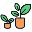 pot, plant, indoor, nature, agriculture, gardening, farming, pots 