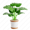 monstera, green, leaf, pot, indoor, botanical, plant, nature 