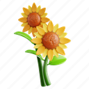 sunflower, flower, petal, bloom, garden, florist, floral, plant, nature 