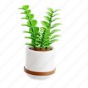 zz, plant, green, leaf, pot, indoor, botanical, nature 