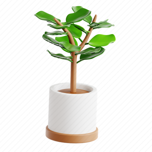 Fiddle, leaf, fig, green, pot, indoor, botanical 3D illustration - Download on Iconfinder