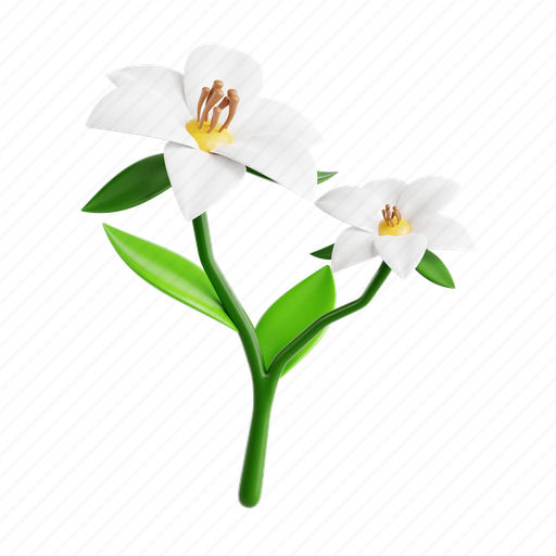 Jasmine, flower, petal, bloom, garden, florist, floral 3D illustration - Download on Iconfinder