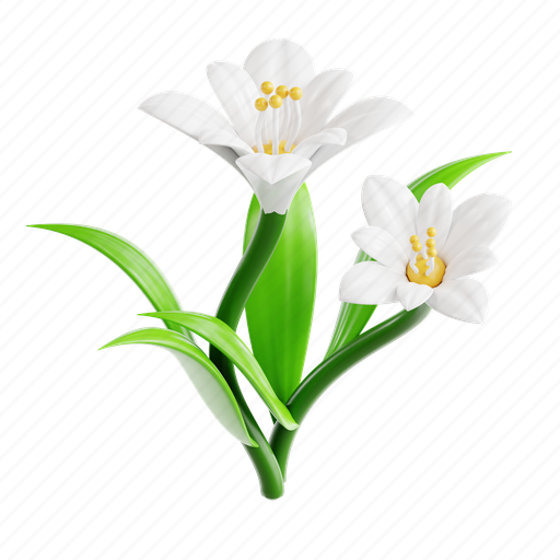 Lily, flower, petal, bloom, garden, florist, floral 3D illustration - Download on Iconfinder