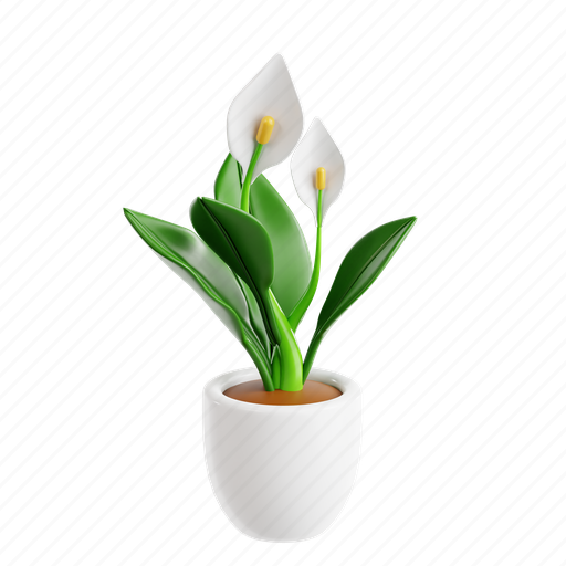 Peace, lily, green, leaf, pot, indoor, botanical 3D illustration - Download on Iconfinder