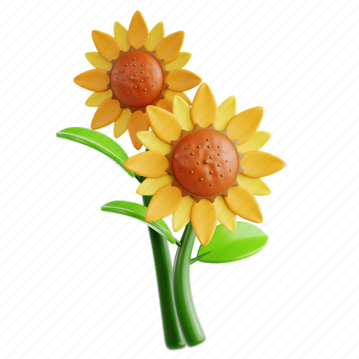 Sunflower, flower, petal, bloom, garden, florist, floral 3D illustration - Download on Iconfinder