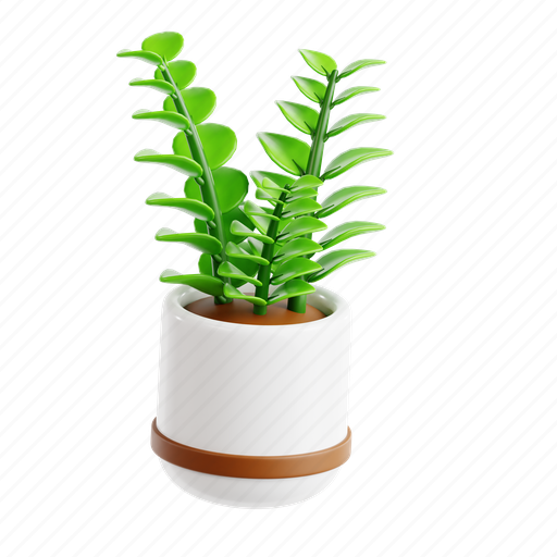 Zz, plant, green, leaf, pot, indoor, botanical 3D illustration - Download on Iconfinder