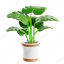 monstera, green, leaf, pot, indoor, botanical, plant, nature 