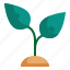 leaf, growth, tree, plant icon 