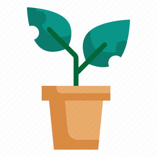 Leaf, pot, growth, tree, nature, plant icon icon - Download on Iconfinder
