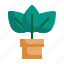 leaves, growth, tree, nature, leaf, plant icon 