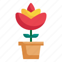 pot, spring, flower, botanic, floral, plant icon