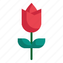 tulip, flower, blossom, season, floral, plant icon