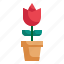 tulip, pot, flower, summer, spring, plant icon 
