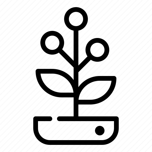 Tree, leaves, pot, botanic, leaf, plant icon icon - Download on Iconfinder
