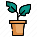 leaf, pot, growth, tree, plant icon