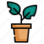 leaf, pot, growth, tree, plant icon 