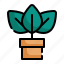 leaves, growth, tree, nature, plant icon 
