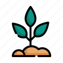 growth, spring, tree, nature, leaf, plant icon
