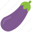aubergine, organic, vegetarian, fruit, healthy 