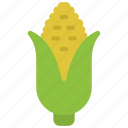 corn, cob, organic, vegetarian, healthy