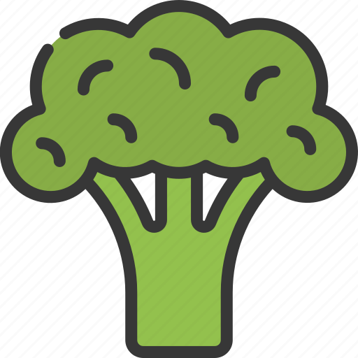 Broccoli, organic, vegetarian, vegetables, healthy icon - Download on Iconfinder