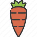 carrot, organic, vegetarian, vegetables, healthy