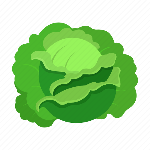 Cabbage, farm, fruit, harvest, plant, vegetable, vegetable garden icon - Download on Iconfinder
