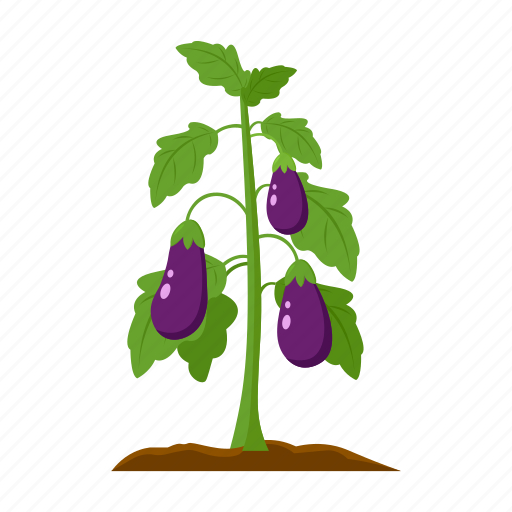Eggplant, farm, fruit, harvest, plant, vegetable, vegetable garden icon - Download on Iconfinder