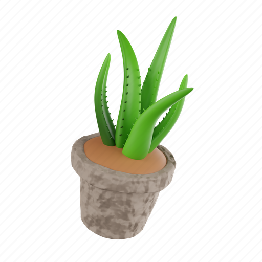 Plant, plant pot, nature, green, desert, natural, flower 3D illustration - Download on Iconfinder