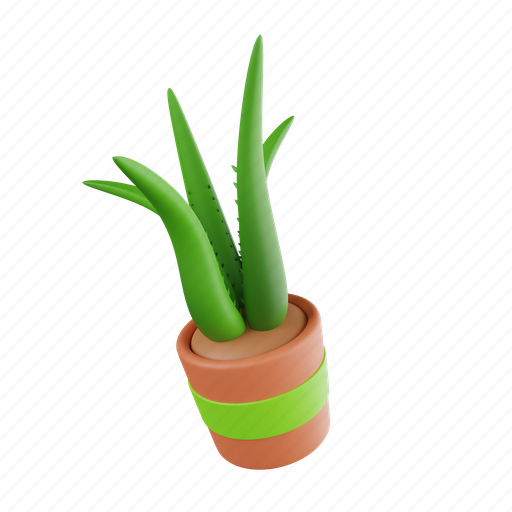 Plant, plant pot, nature, green, desert, natural, flower 3D illustration - Download on Iconfinder