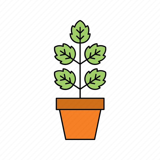 Decor, flora, home, houseplant, nature, plant, pot icon - Download on Iconfinder