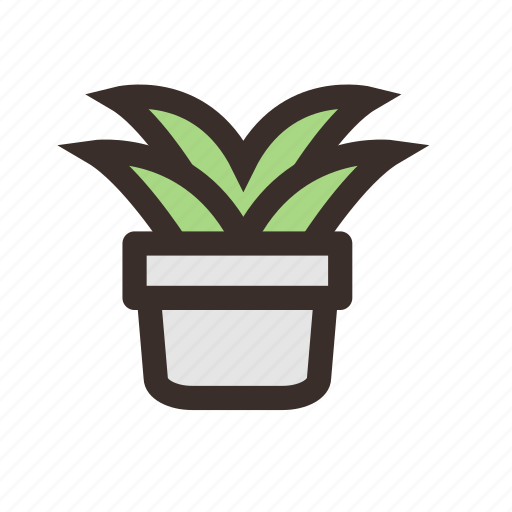 Decoration, flowerpot, interior, nature, plant, pot icon - Download on Iconfinder
