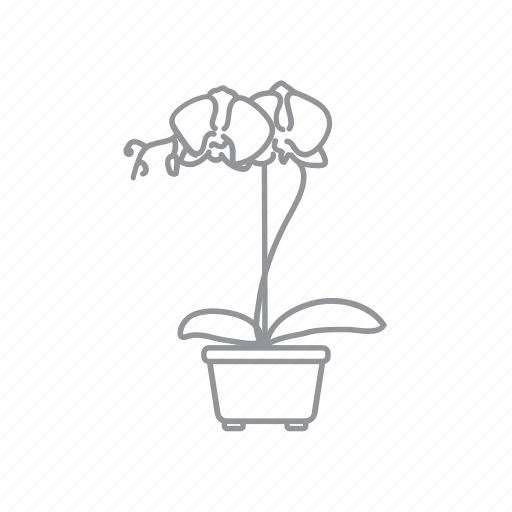 Flower, leaf, nature, plant, pot icon - Download on Iconfinder