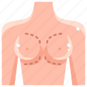 anatomy, augmentation, boobs, breast, plastic, surgery, breasts