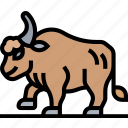 bison, buffalo, animal, mammal, wildlife