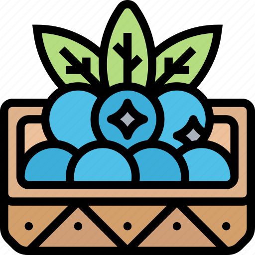Blueberries, fruit, berry, juicy, antioxidant icon - Download on Iconfinder