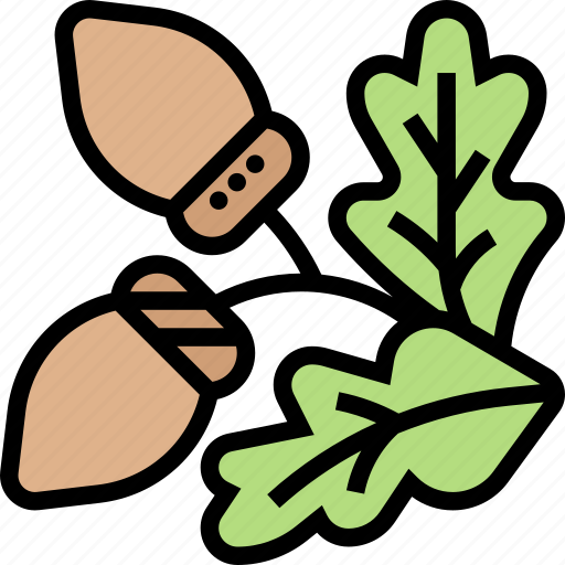 Oak, acorn, fruit, tree, nature icon - Download on Iconfinder