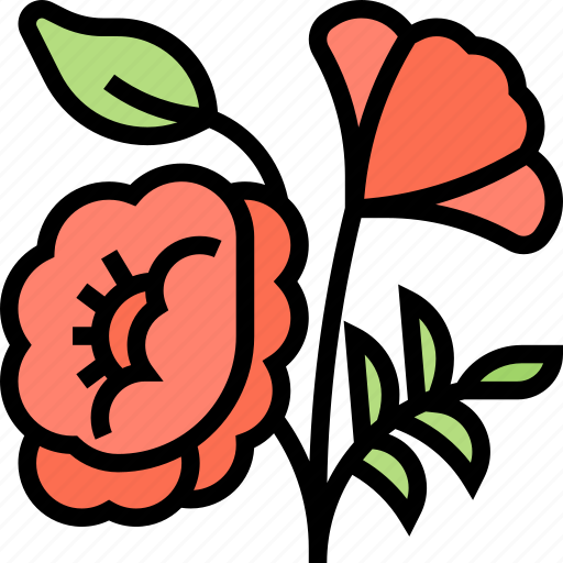 Poppy, flower, flora, garden, plant icon - Download on Iconfinder