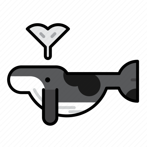 Mammal, marine, ocean, sea, whale icon - Download on Iconfinder