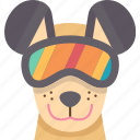 dog, goggle, glasses, eye, protection