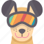 dog, goggle, glasses, eye, protection 