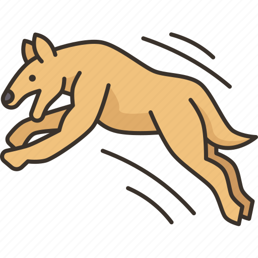 Dog, jump, pet, training, obedience icon - Download on Iconfinder
