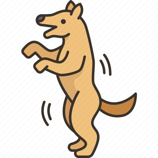 Dog, stand, up, training, obedience icon - Download on Iconfinder