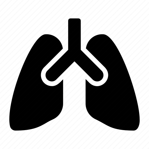 Lungs, breath, body, organ, respiratory, system, anatomy icon - Download on Iconfinder