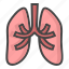 lung, organs, lungs, human, healthy, organ, anatomy, lungsfactory 