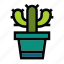 cactus, flower, leaf, plant, pot, trees 