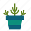 cactus, flower, grass, leaf, plant, pot, trees 
