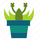 cactus, flower, leaf, plant, pot, trees