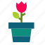 cactus, flower, leaf, plant, pot, rose, trees 