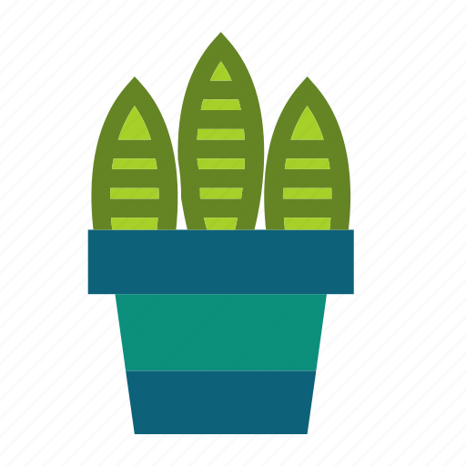 Cactus, flower, leaf, plant, pot, sansevieria, trees icon - Download on Iconfinder